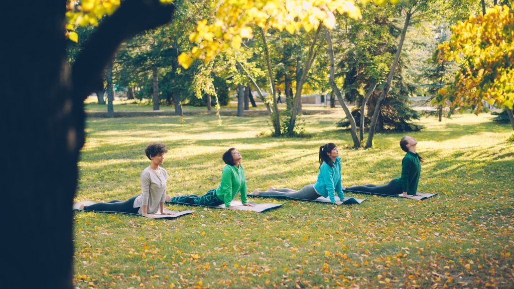 People doing yoga in a park during autumn.