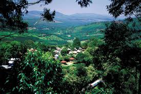 Magoebaskloof: South Africa’s Misty Green Mountain Paradise