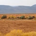 Tankwa Karoo National Park: South Africa’s Most Silent Desert Escape